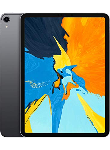 Apple iPad Pro (11-inch, Wi-Fi, 64GB) - Space Gray (Latest Model)